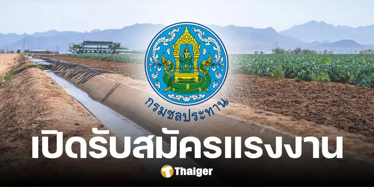 กรมชลประทาน รับสมัครงานรอบใหม่ ต.ค. 67 - ก.ย. 68 รายได้เฉลี่ยสองหมื่นบาท