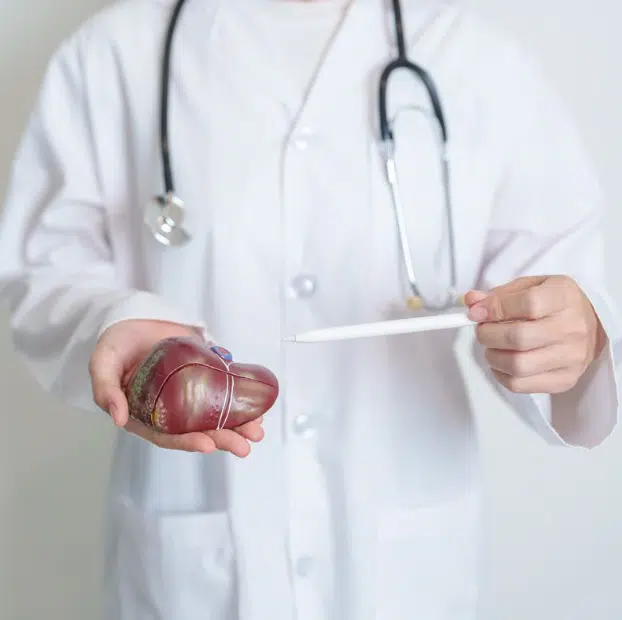 สาเหตุการเกิดไขมันพอกตับ