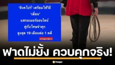 สิงคโปร์ขู่ใช้ "เฆี่ยน" ควบคุก แสกมเมอร์ออนไลน์! บทลงโทษเฉียบขาด ปราบมิจฉาชีพไซเบอร์