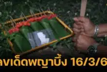 เสี่ยงทาย "พญาบึ้ง" ได้เลขเด็ด 3 ตัวตรง เตรียมลุ้นรวย 16/3/68