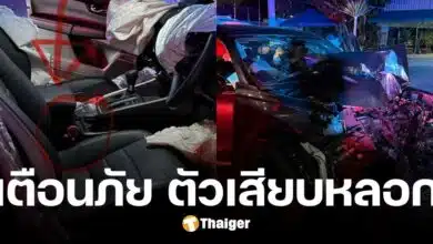 เตือนภัย ตัวหลอกเข็มขัดนิรภัย แค่คลายรำคาญ แต่แลกด้วยอุบัติเหตุรุนแรง
