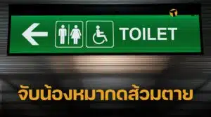 หญิงใจเหี้ยม จับสุนัขกดน้ำตายในโถส้วม หลังพาขึ้นเครื่องไม่ได้ เพราะไม่มีใบอนุญาต