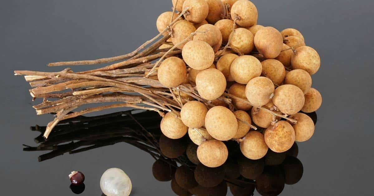 กินลำไยแล้วเป็นร้อนในจริงหรือไม่