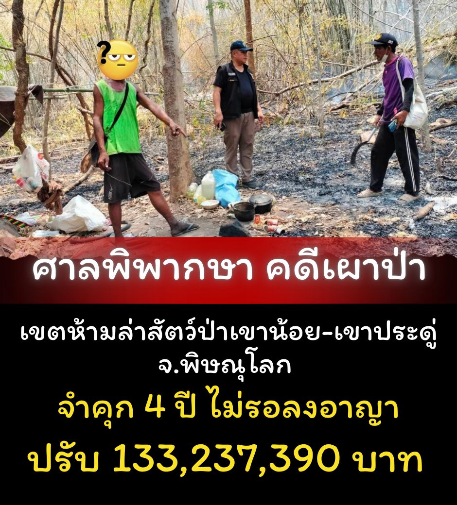 จำคุก 4 ปีจริง ไม่รอลงอาญา มือเผาป่าพิษณุโลก