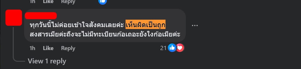 ผู้ใช้เฟซบุ๊กท่านหนึ่งไม่เข้าใจสังคมที่เห็นผิดเป็นถูก