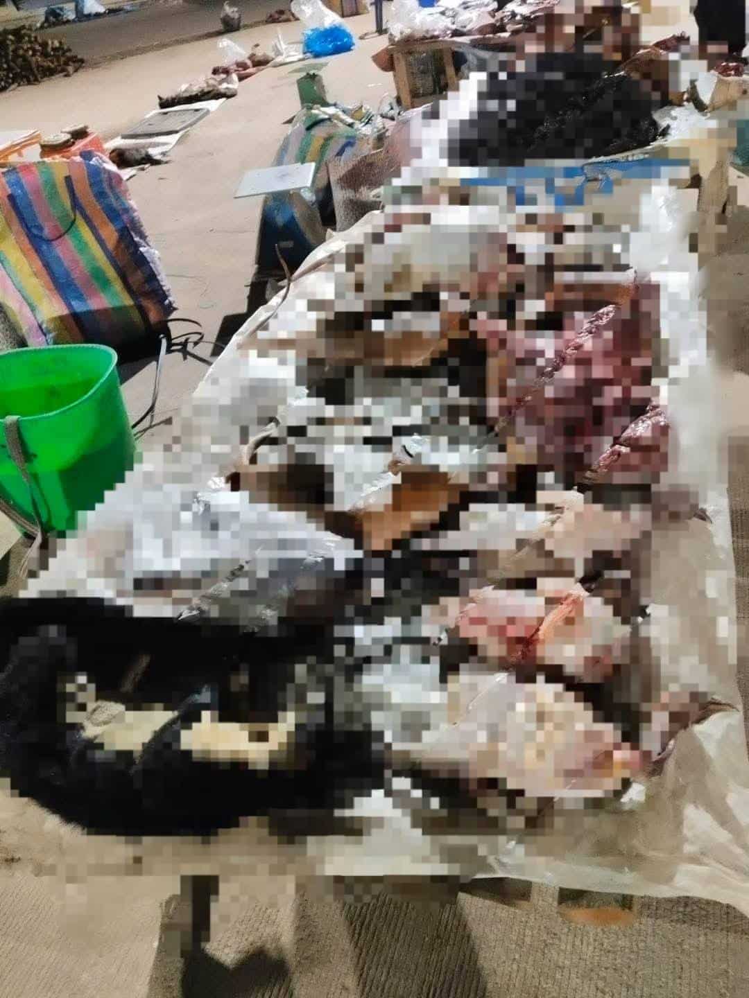 เจ้าหน้าที่กรมอุทยานฯ ตรวจยึดสัตว์ป่าผิดกฎหมาย