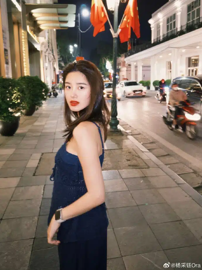 หยางไฉ่อวี้