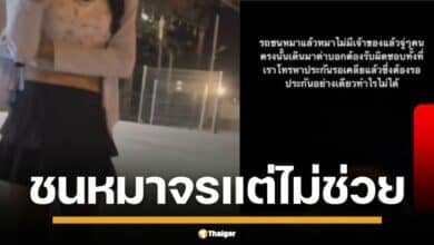ดราม่าอินฟลูฯ TikTok ชนหมาสาหัส นั่งรอประกัน อ้างรถแพง ราคาล้านสอง! ชาวเน็ตเสียงแตก ถามหาความเป็นมนุษย์