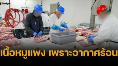 พาณิชย์ อ้อนห้างตรึงราคาหมู เผยเหตุแพง เพราะอากาศร้อนทำน้ำหนักลด ดันต้นทุนเลี้ยงพุ่ง