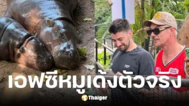 Diplo ดีเจระดับโลก ใส่เสื้อหมูเด้งขึ้นโชว์เวทีสงกรานต์ S2O