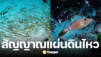 ดร.ธรณ์ ชี้ &quot;ปลา&quot; รับรู้แผ่นดินไหว ไวกว่าคน ทว่าส่งสัญญาณล่วงหน้าแค่แปปเดียว