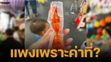 ดราม่า ถังหูลู่ไม้ละ 100 งานวัดไร่ขิง มีสตรอว์เบอรี่แค่ 5 ลูก