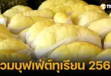 รวมบุฟเฟ่ต์ทุเรียน 68 กรุงเทพฯ-ต่างจังหวัด เริ่มต้น 500 บ. อิ่มไม่อั้น