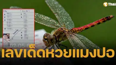 เลขเด็ด หวยแมงปอ งวด 2 พฤษภาคม 2568