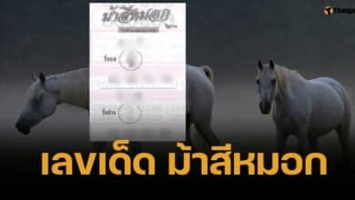 เลขเด็ด ม้าสีหมอก 16 เมษายน 2568 อาชาเมฆาควบหวยเด่นสวย 2 ตัว