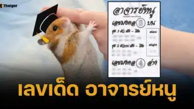 เลขเด็ด อาจารย์หนู 2 พ.ค. 68 นัมเบอร์จิ๋วแต่แจ๋ว มงคลหลักเดียวตรงเต็ง
