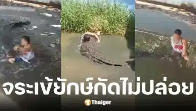 ชายบกพร่องทางจิตกระโดดลงบ่อจระเข้ คิดว่าเป็นตุ๊กตา