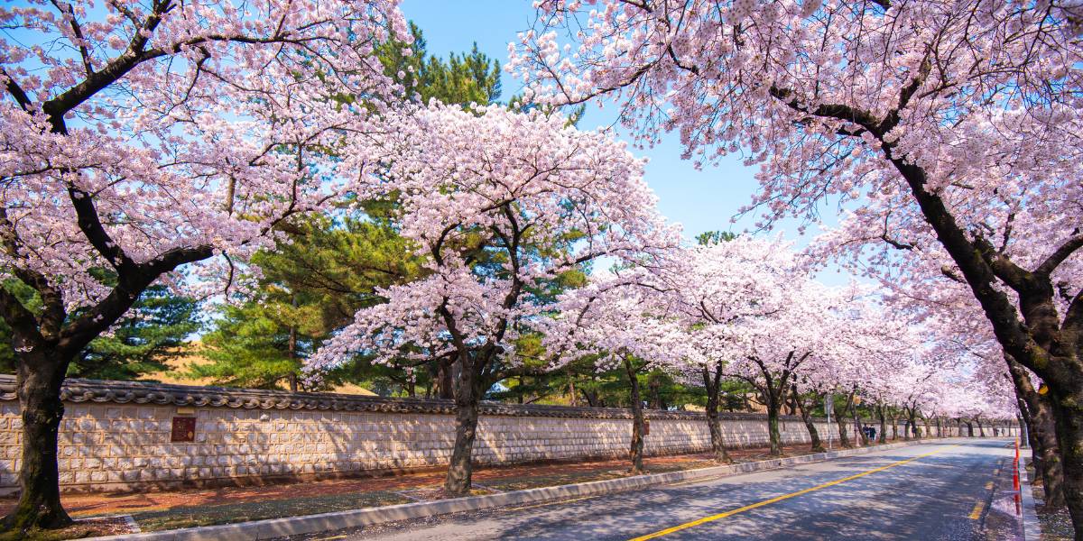 ภาพไม่เกี่ยวข้องกับเนื้อหา