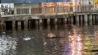 นักท่องเที่ยวรัสเซีย พัทยา