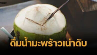 สลด เฒ่าเดนมาร์ก ดื่มน้ำมะพร้าวเน่า เชื้อราขึ้นสมอง เสียชีวิตใน 26 ชม.