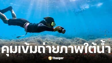 บันทึกโลกใต้น้ำ เปิดสาเหตุทำไมราชกิจจาฯ ห้ามมือใหม่ Scuba พกกล้องถ่ายภาพใต้น้ำ