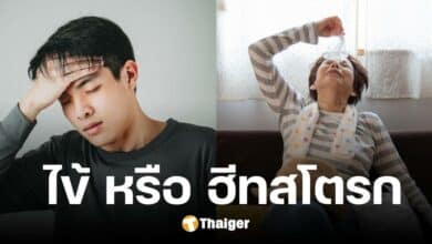 เตือนภัยร้อนจัด หมอสมอง แนะแยกให้ออก ไข้ กับ ฮีทสโตรก ชี้ร้อนแค่ไหนถึงตาย