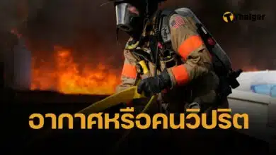 นิวเจอร์ซีย์อ่วม ไฟป่าครั้งใหญ่รอบ 20 ปี ผลาญบ้านวอด ที่แท้เด็ก 19 มือบอนจุดไฟ