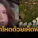ลูกสะไภ้มรณะ ใส่เห็ดพิษในบีฟเวลลิงตัน ฆ่า 3 ศพ เกือบยกครอบครัว