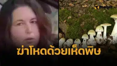 ลูกสะไภ้มรณะ ใส่เห็ดพิษในบีฟเวลลิงตัน ฆ่า 3 ศพ เกือบยกครอบครัว