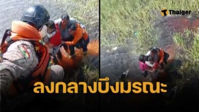 นาทีชีวิต 5 ผู้รอดชีวิตยืน 36 ชั่วโมง จระเข้-อนาคอนด้า ว่ายล้อมรอบ กลางป่าอะเมซอน หลังเครื่องบินจอดฉุกเฉินกลางน้ำ