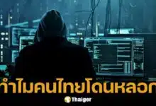 ผ่า 5 เหตุผลเด็ด ทำไมคนไทยถูกตุ๋นออนไลน์ไม่เลิก CIB ชี้จุดตาย โดนกันถ้วนหน้า