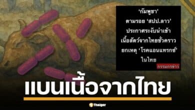 ผวาแอนแทรกซ์ไทย! กัมพูชาประกาศระงับนำเข้าปศุสัตว์-ผลิตภัณฑ์เนื้อทุกชนิด หลังลาวสั่งแบนจากเคสคนตายที่มุกดาหาร