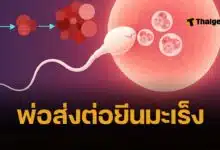 ข่าวใหญ่ พบชายบริจาคสเปิร์ม ส่งต่อยีนมะเร็ง ให้ลูก 23 คน ป่วยมะเร็งอื้อ หมอกังวลคัดกรองแทบเป็นไปไม่ได้