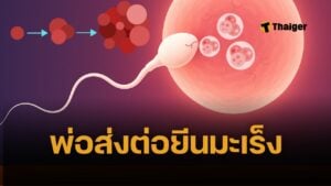 ข่าวใหญ่ พบชายบริจาคสเปิร์ม ส่งต่อยีนมะเร็ง ให้ลูก 23 คน ป่วยมะเร็งอื้อ หมอกังวลคัดกรองแทบเป็นไปไม่ได้