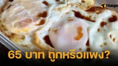 ดราม่าข้าวไข่ดาว 65 บาท เพจดังตั้งคำถาม ถูกหรือแพง? ชาวเน็ตเสียงแตก