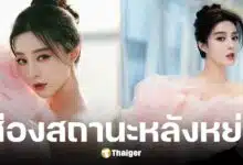 โพสต์ฟ่าน ปิงปิงวันคู่รัก คาดโสดสนิทหลังหย่าสามี