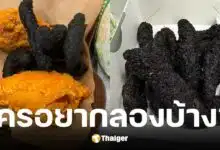 ร้านฟาสต์ฟู้ดจีน เปิดตัวหมูกรอบพริกไทยดำ หน้าตาคล้ายอุนจิ