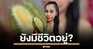 ตำรวจเจอเบาะแสสำคัญ แกะรอย "เจ๊แก้ว" แม่ค้าทุเรียนสุราษฎร์ฯ หายตัว 4 วันพร้อมทอง 20 บาท-เงินแสน! ผัวชี้ปม "ชู้สาว" หรือหนีปัญหาครอบครัวซ้ำรอยอดีต