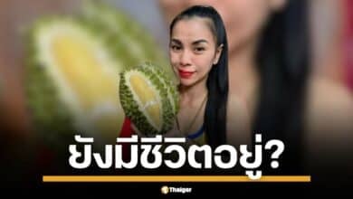 ตำรวจเจอเบาะแสสำคัญ แกะรอย "เจ๊แก้ว" แม่ค้าทุเรียนสุราษฎร์ฯ หายตัว 4 วันพร้อมทอง 20 บาท-เงินแสน! ผัวชี้ปม "ชู้สาว" หรือหนีปัญหาครอบครัวซ้ำรอยอดีต