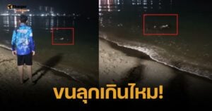 สยองกลางดึก สองหนุ่ม เจอสาวลอยนิ่งทะเลพัทยา จู่ๆ ลุกขึ้นมาทำสิ่งนี้!