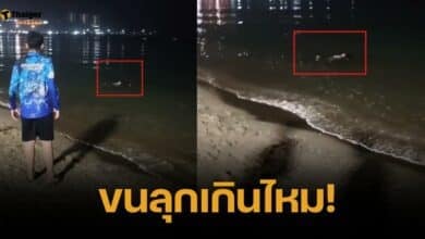 สยองกลางดึก สองหนุ่ม เจอสาวลอยนิ่งทะเลพัทยา จู่ๆ ลุกขึ้นมาทำสิ่งนี้!