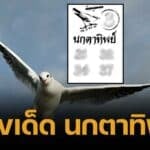 เลขเด็ด นกตาทิพย์ 16/5/68 พลังวิหคเนตรศักดิ์สิทธิ์ โพยโดดหนึ่งหลักถ้วน