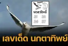เลขเด็ด นกตาทิพย์ 16/5/68 พลังวิหคเนตรศักดิ์สิทธิ์ โพยโดดหนึ่งหลักถ้วน