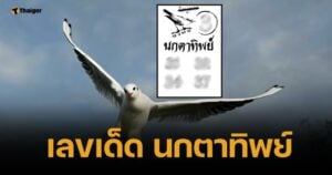 เลขเด็ด นกตาทิพย์ 16/5/68 พลังวิหคเนตรศักดิ์สิทธิ์ โพยโดดหนึ่งหลักถ้วน
