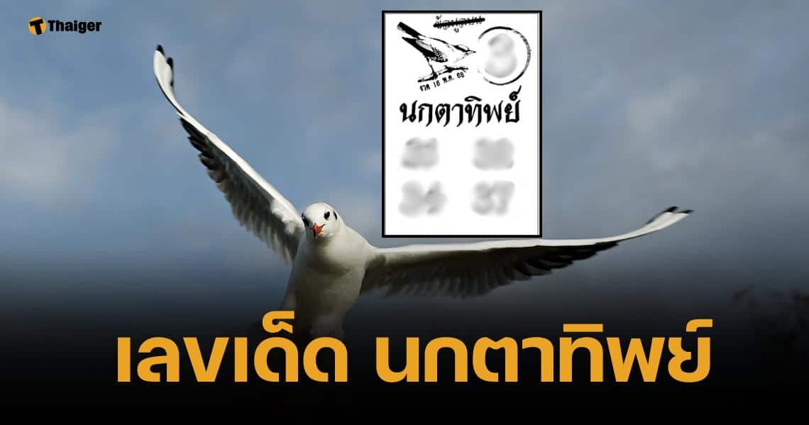 เลขเด็ด นกตาทิพย์ 16/5/68 พลังวิหคเนตรศักดิ์สิทธิ์ โพยโดดหนึ่งหลักถ้วน
