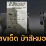 เลขเด็ด ม้าสีหมอก 16 พฤษภาคม 2568 อาชาสวรรค์ควบทรัพย์พลังมงคล