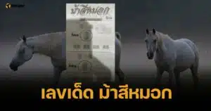 เลขเด็ด ม้าสีหมอก 16 พฤษภาคม 2568 อาชาสวรรค์ควบทรัพย์พลังมงคล