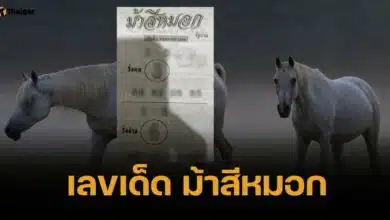 เลขเด็ด ม้าสีหมอก 16 พฤษภาคม 2568 อาชาสวรรค์ควบทรัพย์พลังมงคล