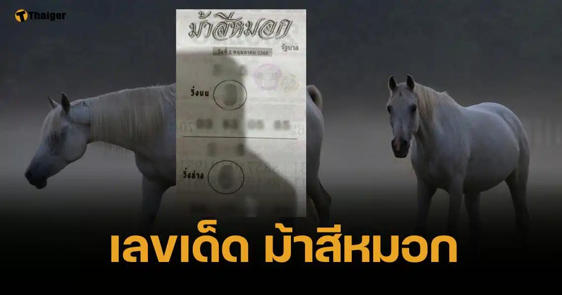 เลขเด็ด ม้าสีหมอก 16 พฤษภาคม 2568 อาชาสวรรค์ควบทรัพย์พลังมงคล