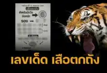 เลขเด็ด เสือตกถัง 16 พ.ค. 68